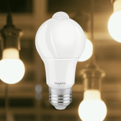 BRY ADVANCE 9W-E27-A60-6500K LED SIJALICA BA14-70923