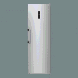 GORENJE frizider R619EAXL6